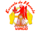 Escuela de manejo virgo, escuela de manejo en ecatepec Logo